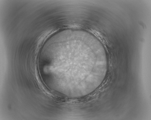 X0000115450097200912021014