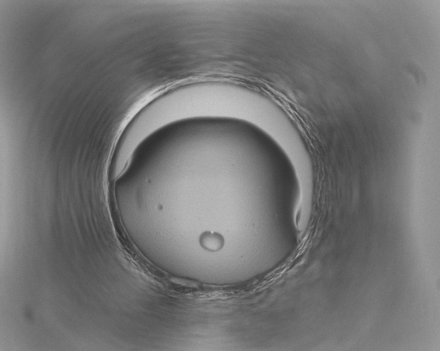 X0000115450100200912021014