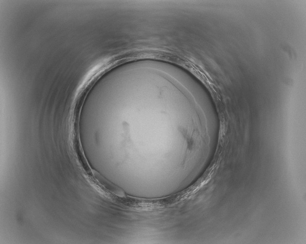 X0000115450101200912021014