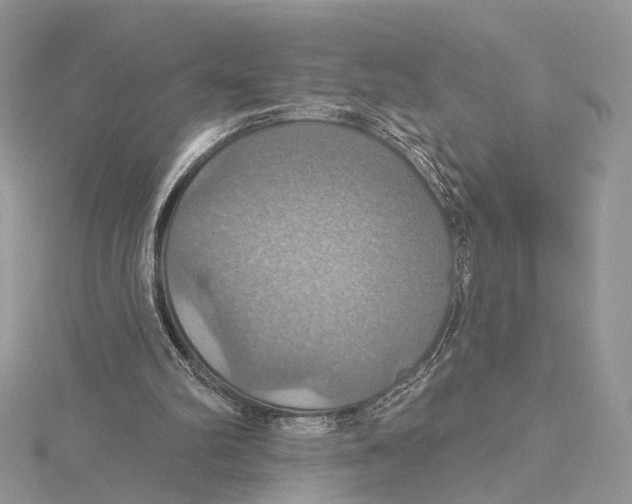 X0000115450102200912021014