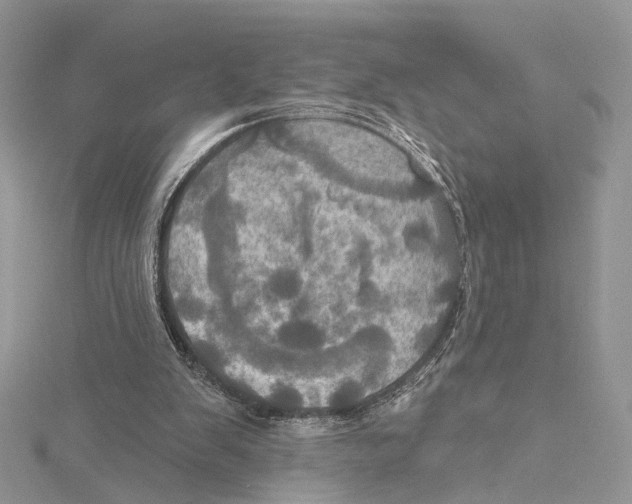 X0000115450103200912021014