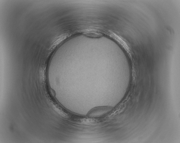 X0000115450105200912021014