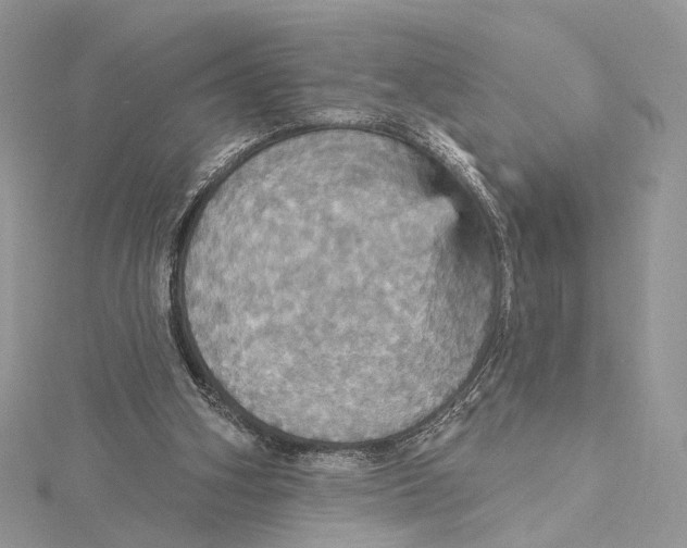 X0000115450106200912021014