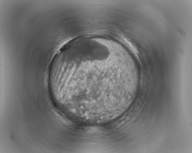 X0000115450107200912021014