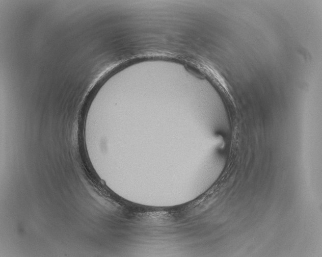 X0000115450108200912021014