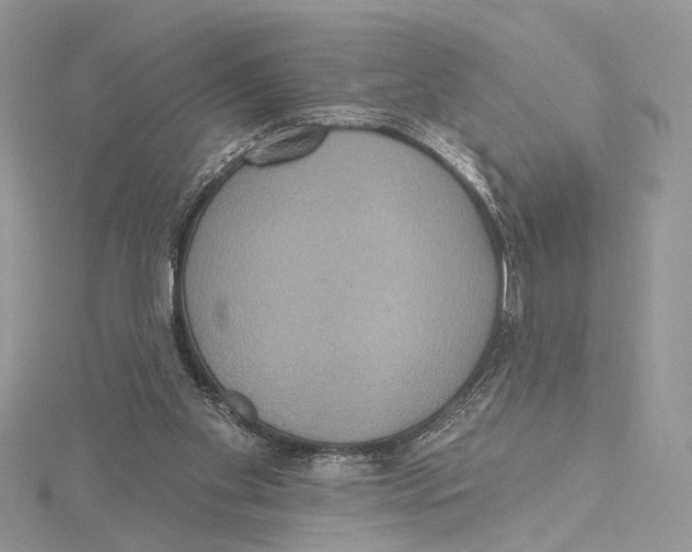 X0000115450109200912021014