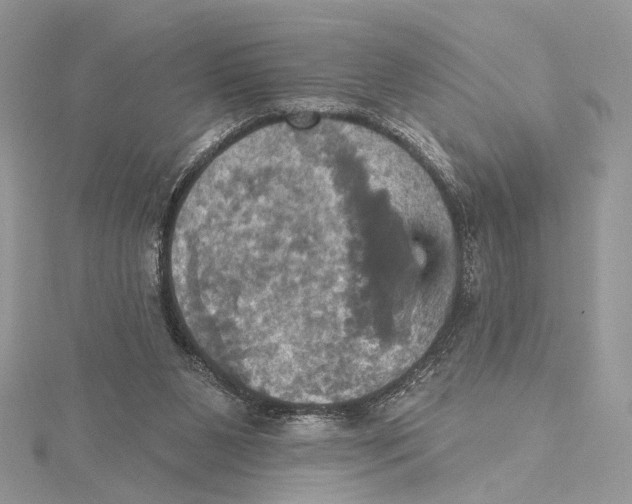 X0000115450111200912021014