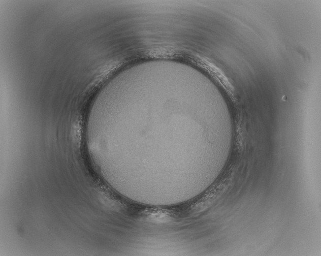 X0000115450113200912021014