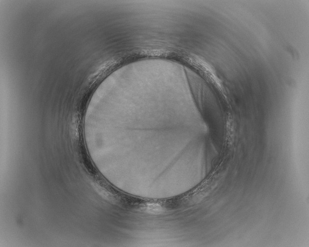 X0000115450114200912021014