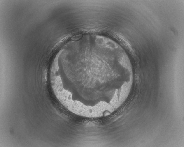 X0000115450115200912021014