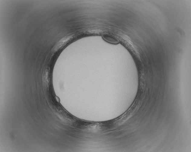 X0000115450116200912021014