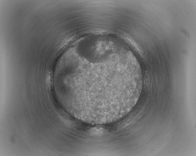 X0000115450119200912021014