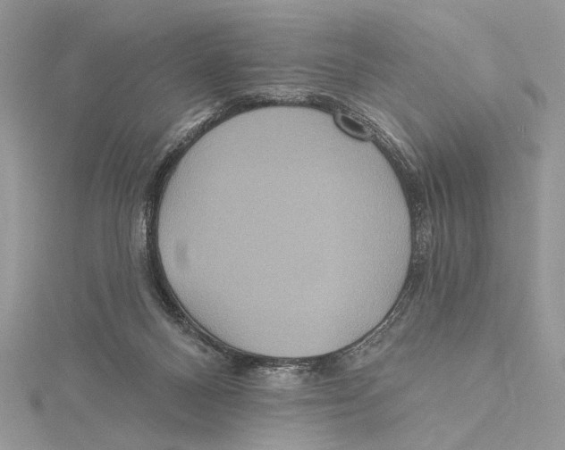 X0000115450120200912021014