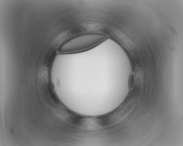 X0000115450121200912021014