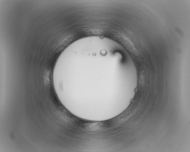 X0000115450122200912021014