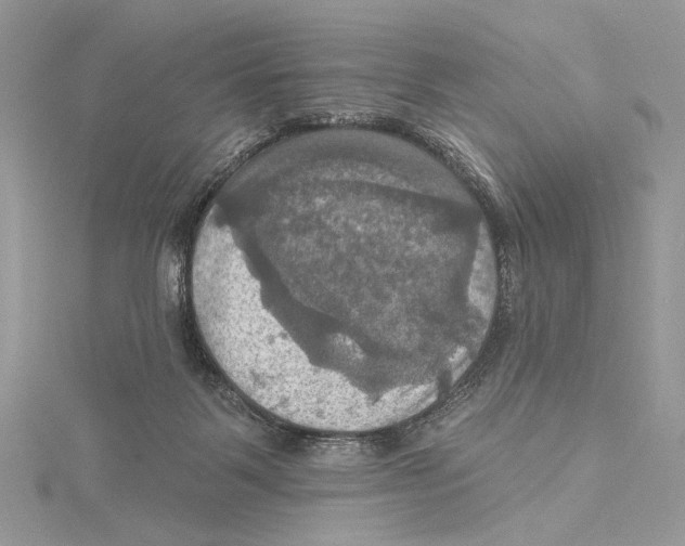 X0000115450123200912021014