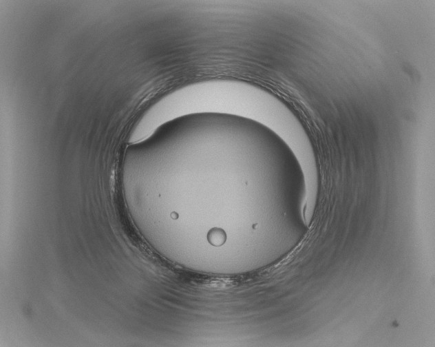 X0000115450124200912021014