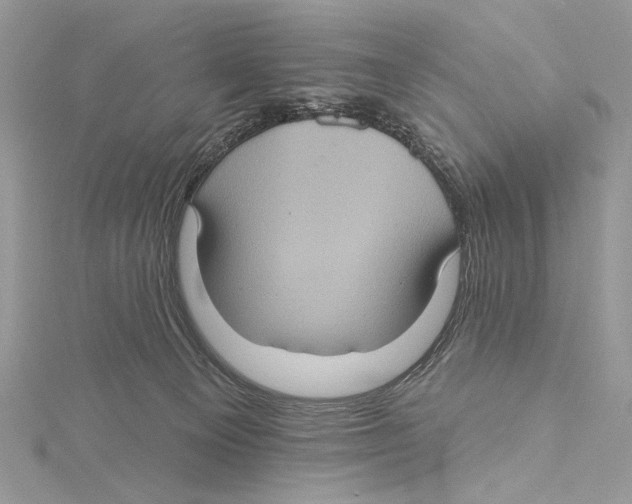 X0000115450129200912021014