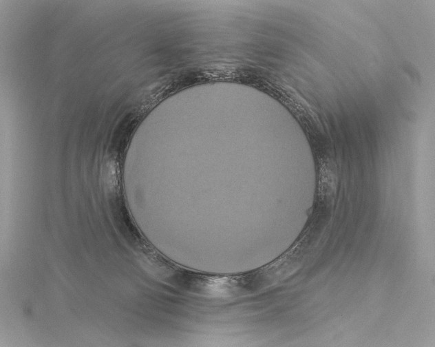 X0000115450130200912021014