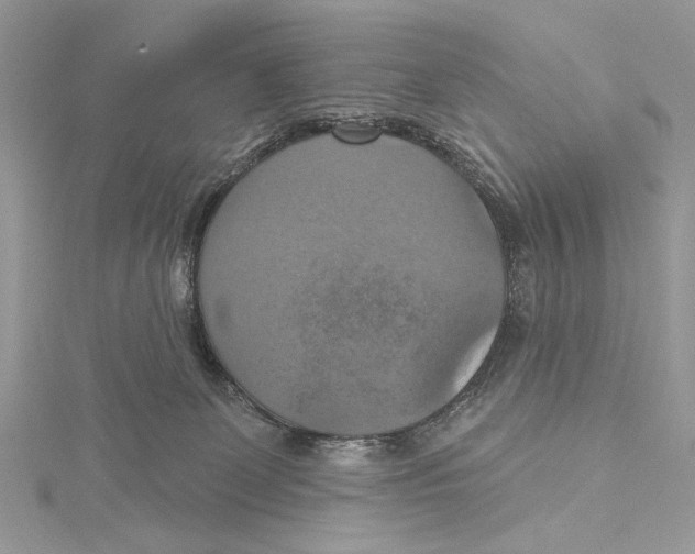 X0000115450131200912021014