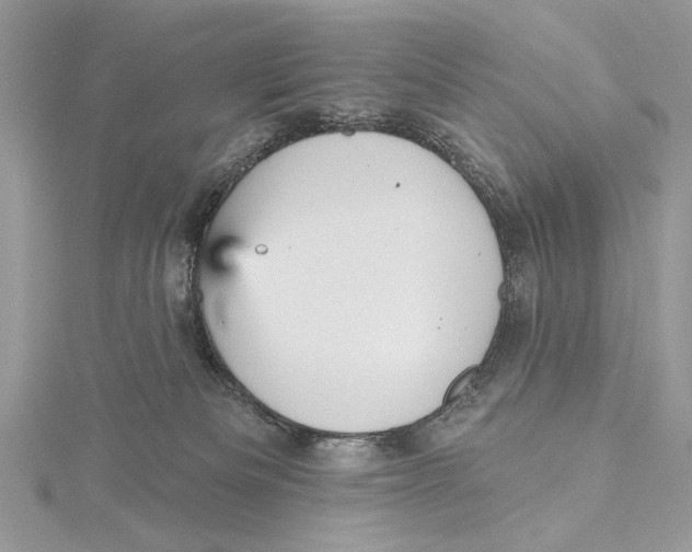 X0000115450133200912021014