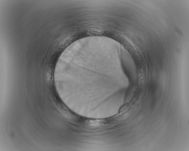 X0000115450134200912021014