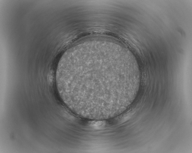 X0000115450135200912021014