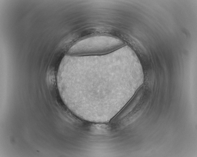 X0000115450137200912021014