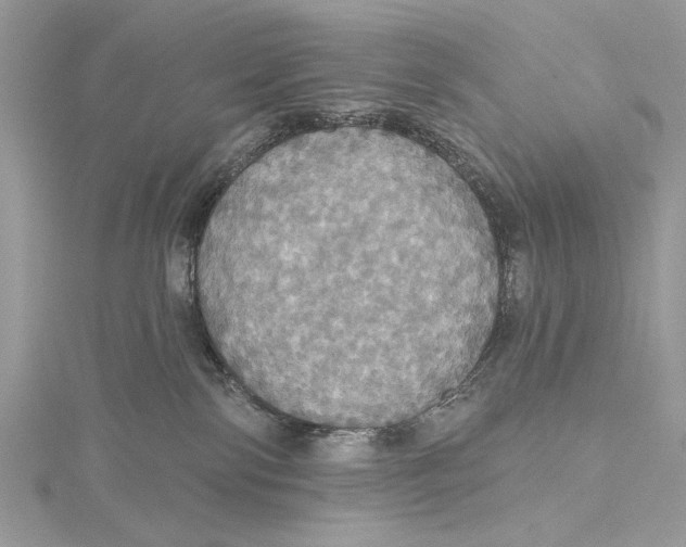 X0000115450138200912021014