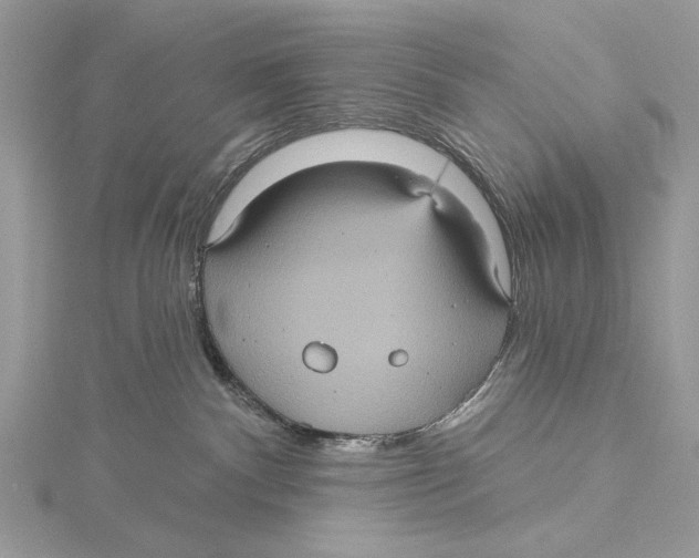 X0000115450140200912021014