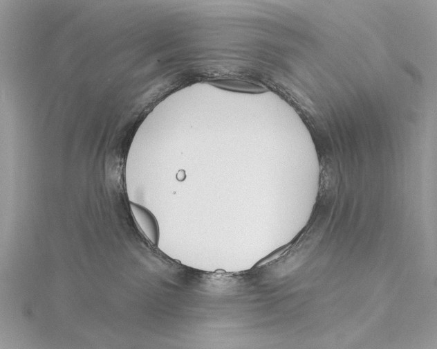 X0000115450141200912021014