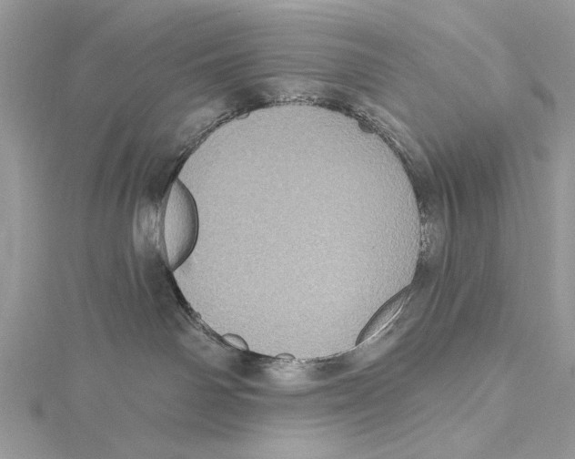 X0000115450142200912021014