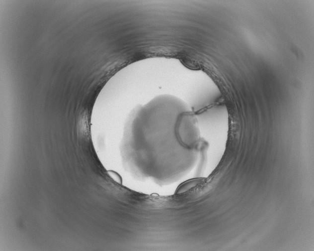 X0000115450143200912021014