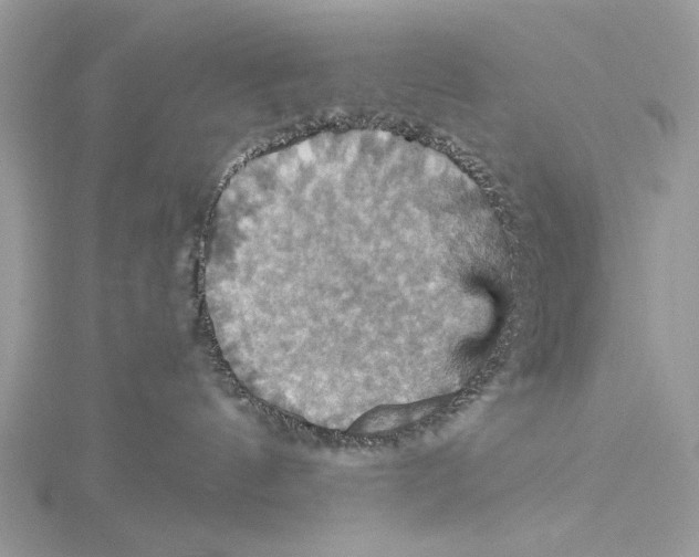 X0000115450144200912021014