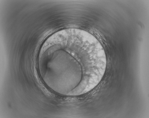 X0000115450145200912021013