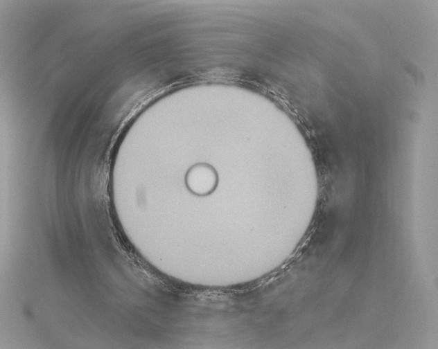 X0000115450146200912021013