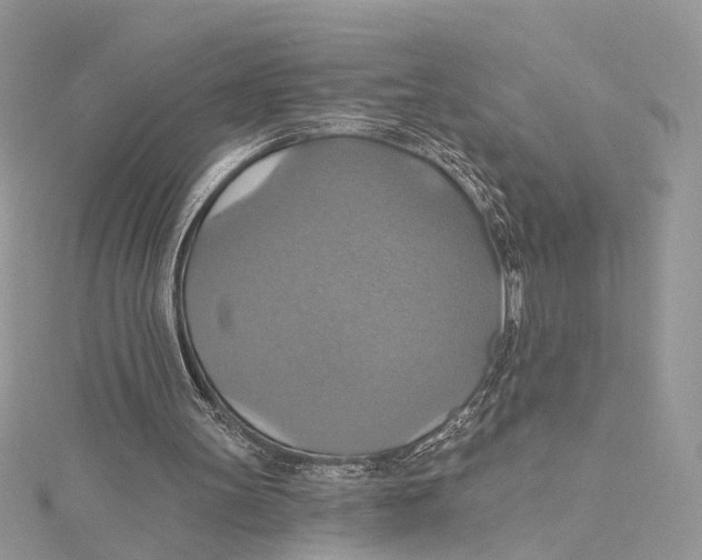 X0000115450147200912021013