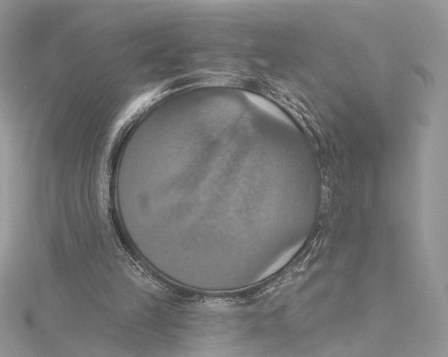 X0000115450149200912021013