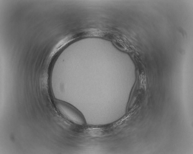 X0000115450150200912021013