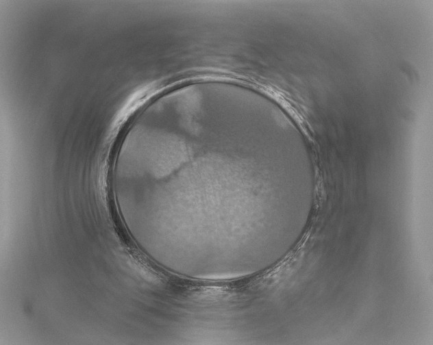 X0000115450151200912021013