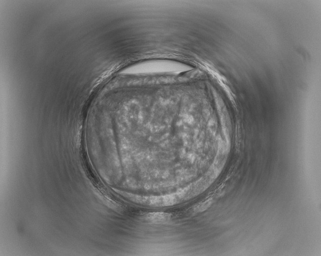 X0000115450153200912021013