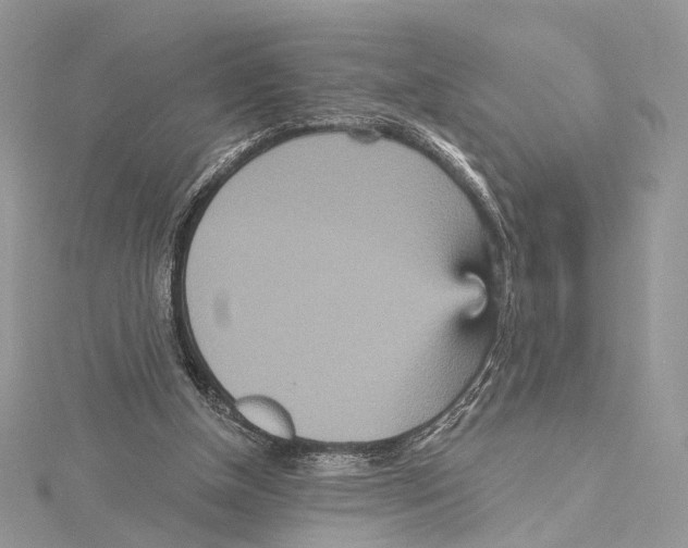 X0000115450154200912021013