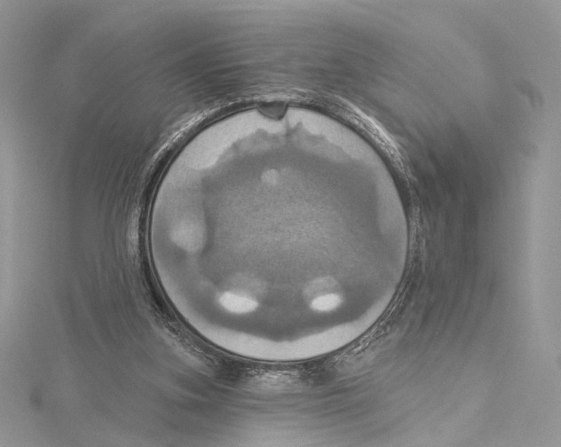 X0000115450155200912021013