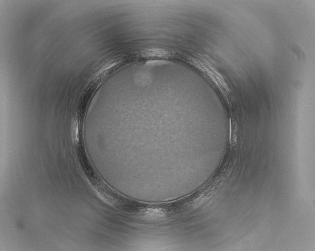 X0000115450157200912021013