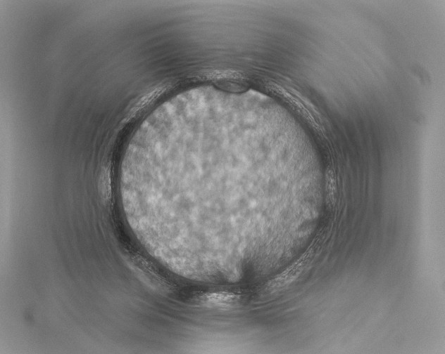 X0000115450158200912021013