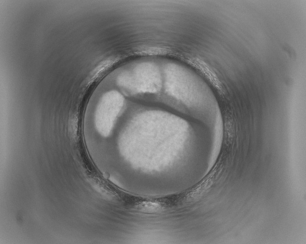 X0000115450159200912021013