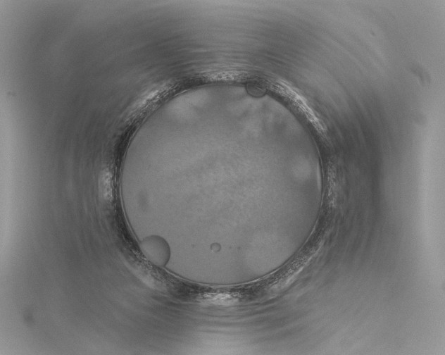 X0000115450161200912021013