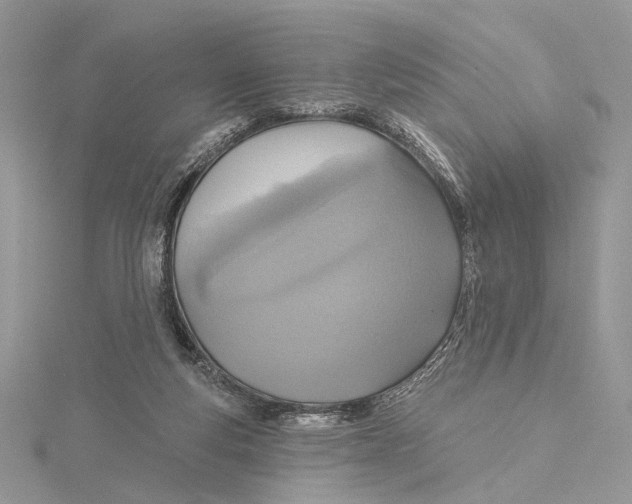 X0000115450163200912021013