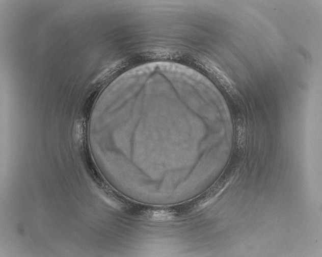 X0000115450165200912021013