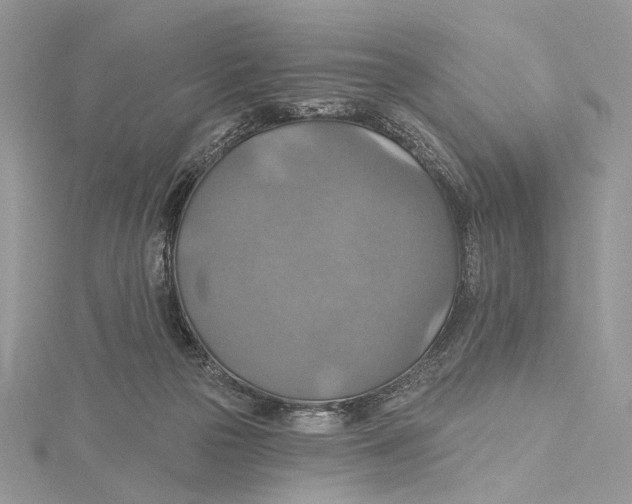 X0000115450169200912021013